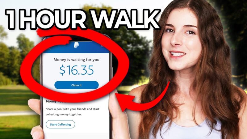 PAYPAL MONEY IS WAITING FOR YOU DECLINE visual data 5